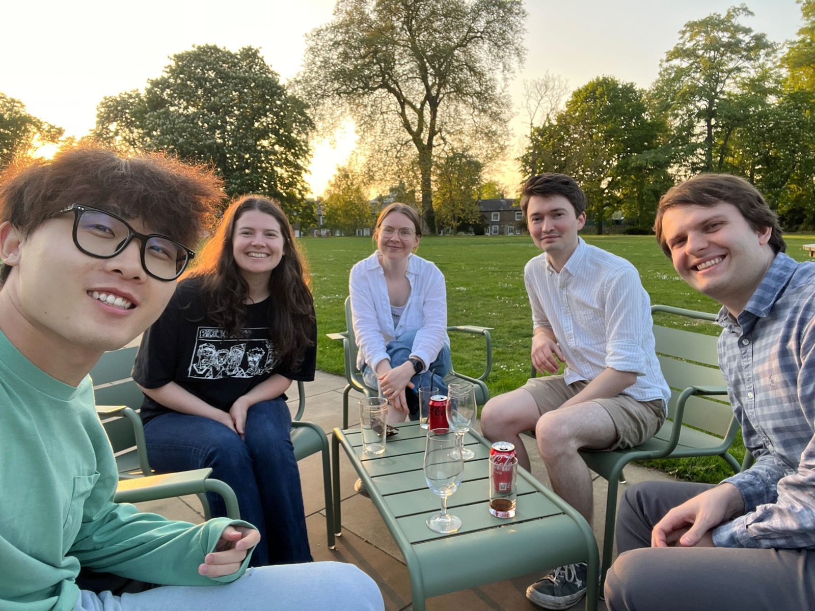 The lab enjoying an evening in the park