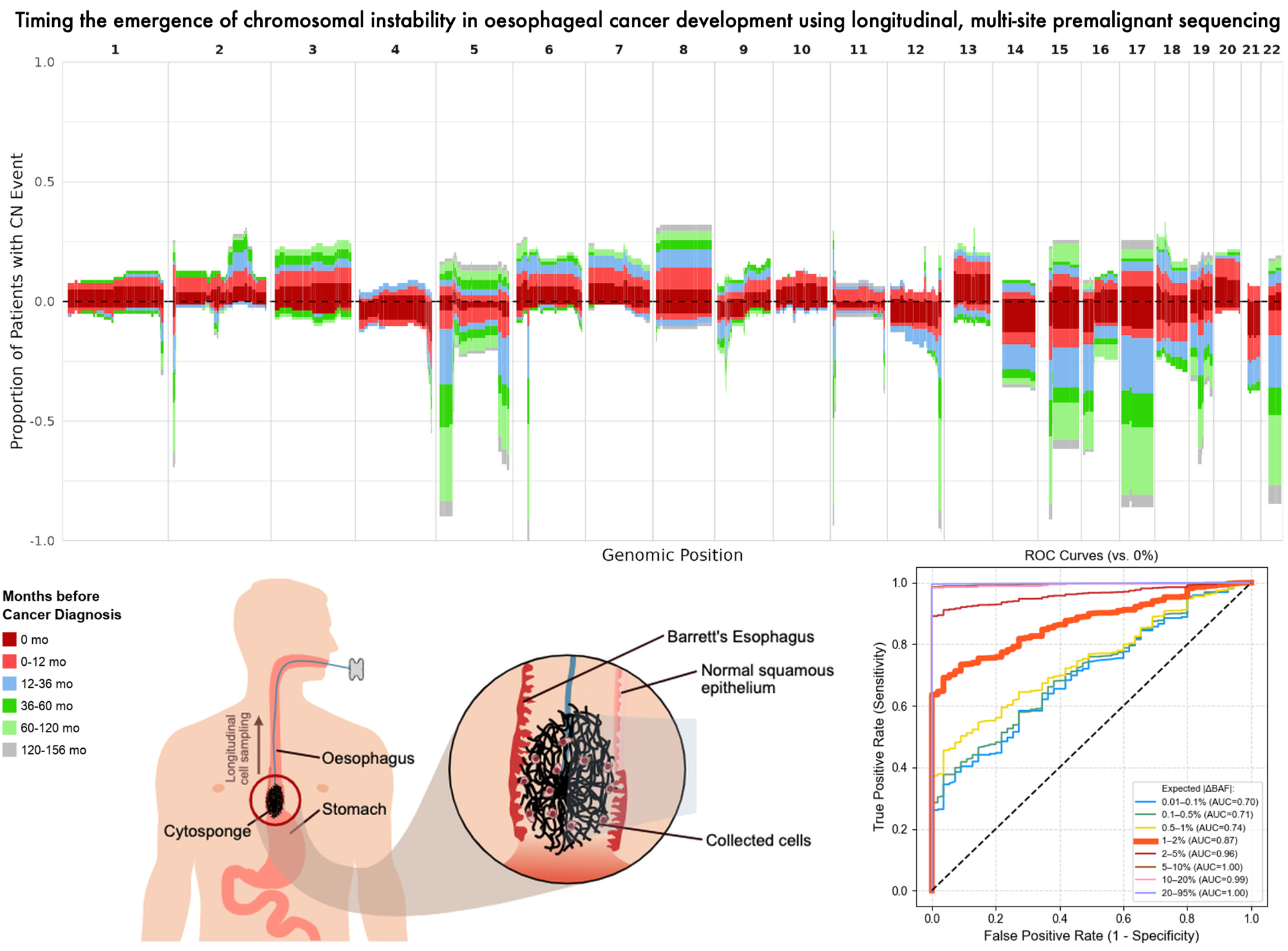 Genome-wide copy-number gains and losses across a patient cohort, alongside validation of our AstroCNA method for detecting chromosomal instability in low-purity samples.